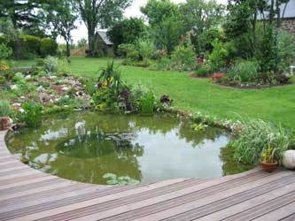 Bassin préformé 1000 L : Création de bassin de jardin OASE jardin - botanic®
