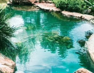 Une photo d'une piscine naturelle