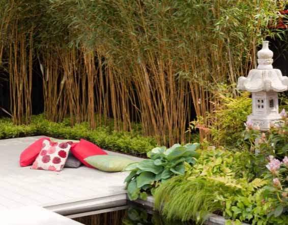 Petit jardin japonais délimité par des bambous , avec un terrasse en carrelage clair, un petit bassin rectangulaire et a droite une lanterne japonaise entouré de plantes