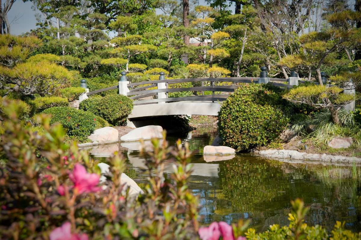 Un magnifique jardin japonais