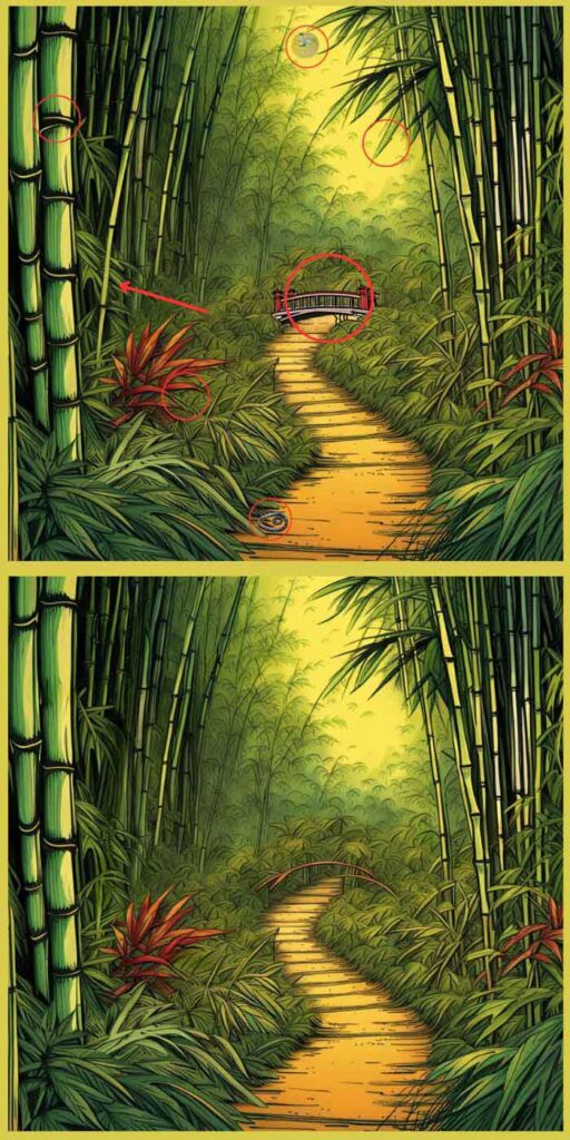 La solution : Jeu des 7 différences dans une allée de bambou