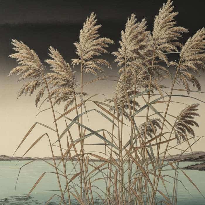 Illustration de Phragmites australis (Roseau commun) (style estampe japonaise traditionnelle)