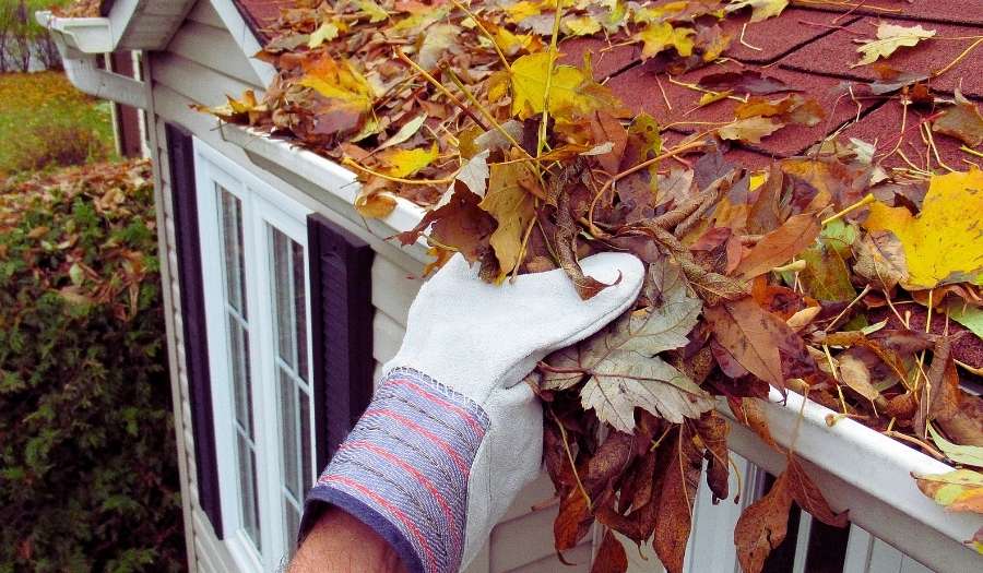 LE toit d'une maison avec des feuille qui s'accumulent dans la gouttière 