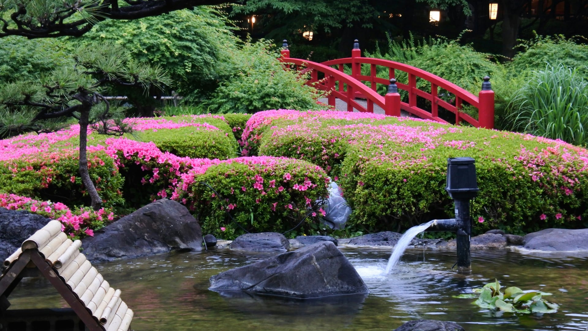 Quel brise-vue pour profiter de son jardin japonais ?