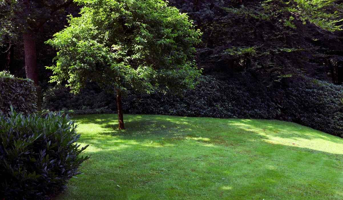 Un jardin en pente