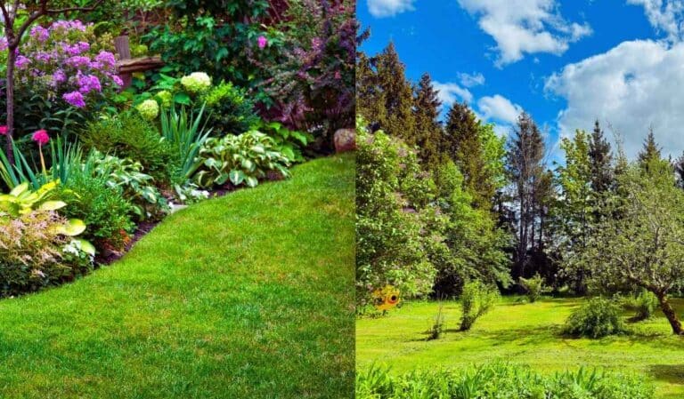 Jardin structuré à gauche vs jardin naturel à droite