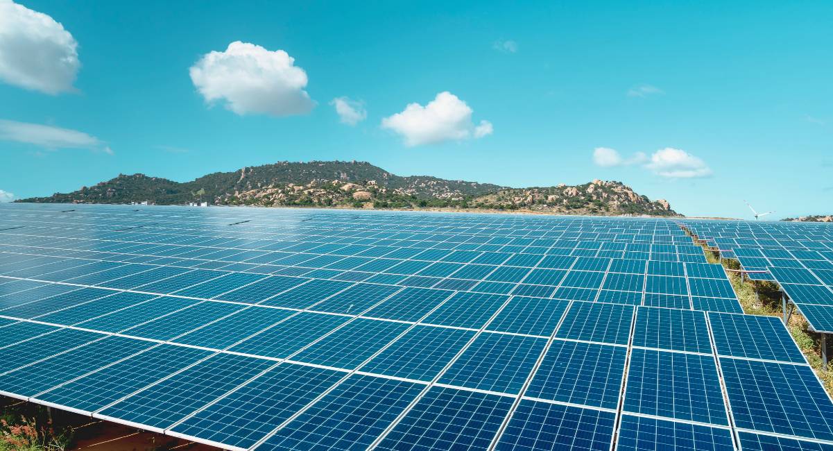 Rangees de panneaux solaires poses au sol sous un ciel bleu