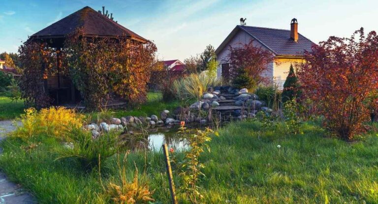 Bassin de jardin entouré de pierres, avec un kiosque en bois couvert de vigne et une petite maison au fond
