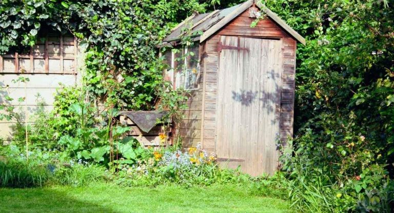 Cabane en bois au bardage grisé entourée de grimpantes et de massifs fleuris